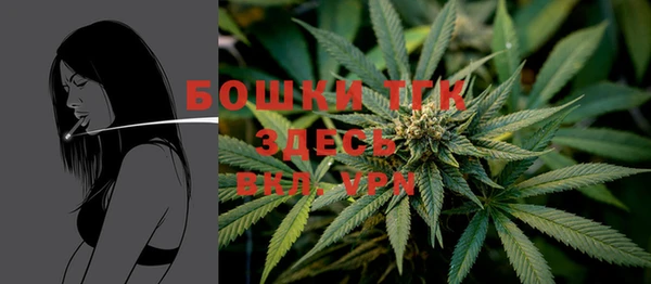 крисы Горно-Алтайск