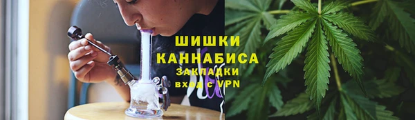 ГАЛЛЮЦИНОГЕННЫЕ ГРИБЫ Горнозаводск