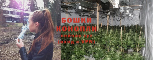 крисы Горно-Алтайск