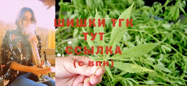 ешки Горняк