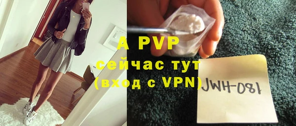 ешки Горняк