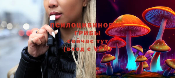 ГАЛЛЮЦИНОГЕННЫЕ ГРИБЫ Горнозаводск