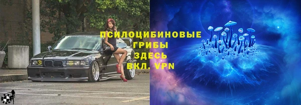 ГАЛЛЮЦИНОГЕННЫЕ ГРИБЫ Горнозаводск