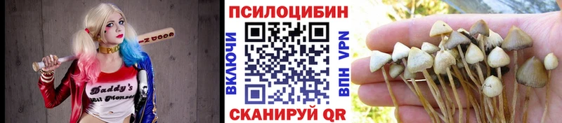 продажа наркотиков  Москва  Псилоцибиновые грибы GOLDEN TEACHER 
