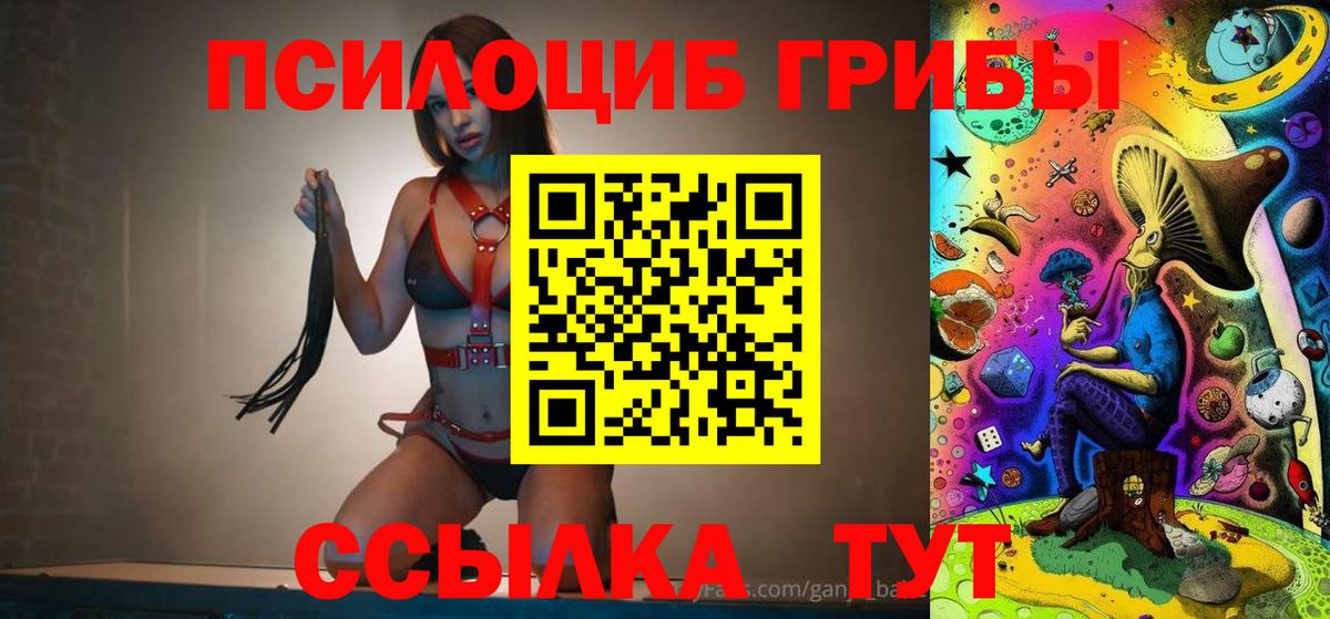 хочу наркоту  Галлюциногенные грибы Cubensis  Вход с VPN  Москва 